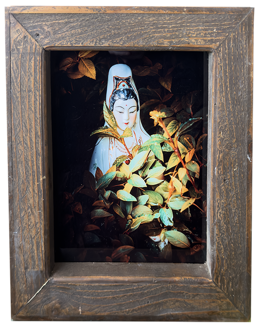 Guanyin & Shancai